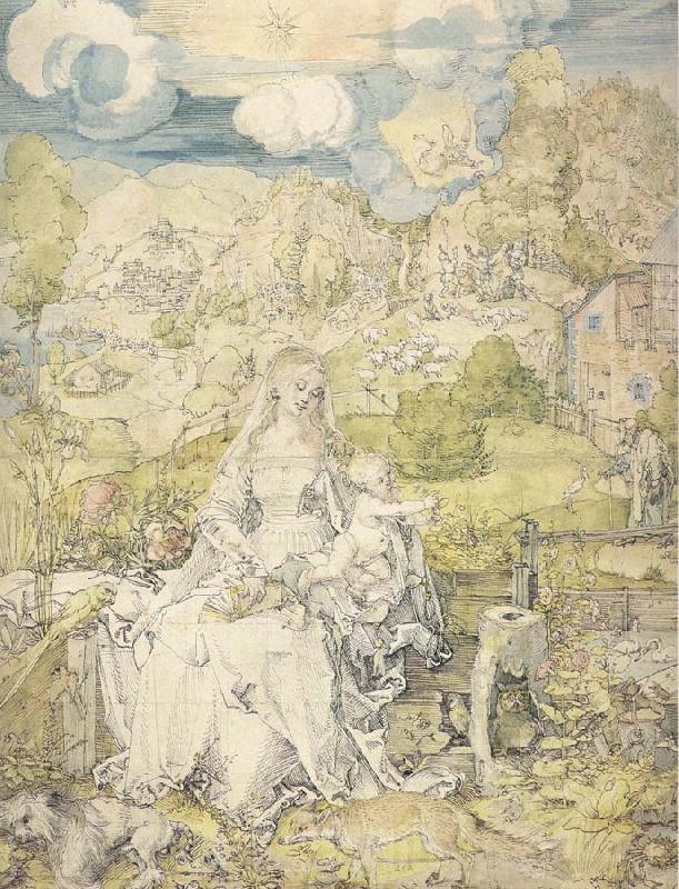 Albrecht Durer The Virgin with a Multitude of Animals